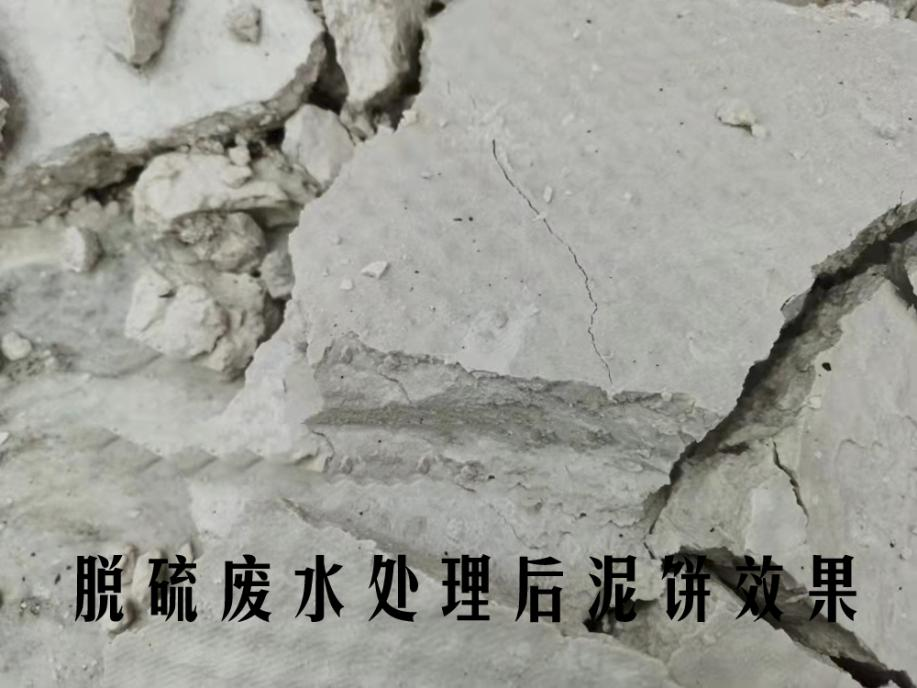 泥餅圖片2