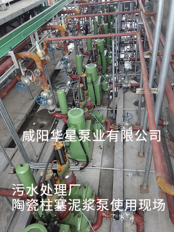 山東淄博光大水務-市政污水處理-水印4